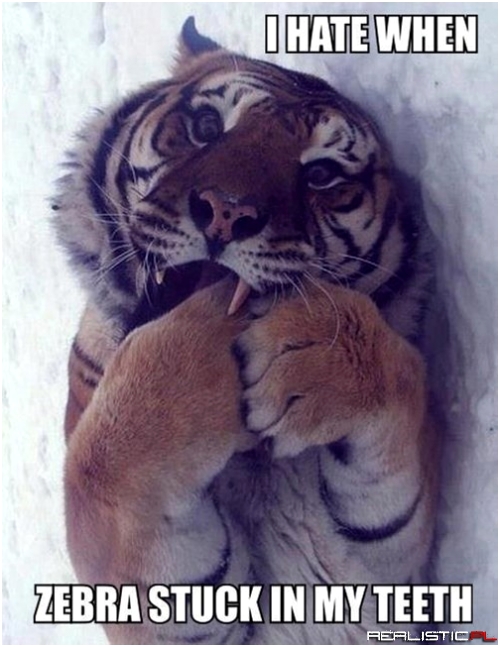 It's the Stripes