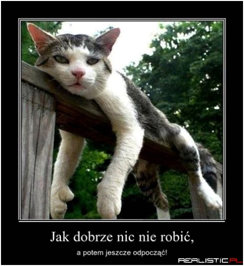 Jak dobrze...