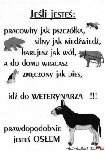 Jeśli jesteś