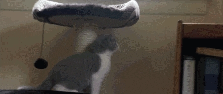 Jump fail