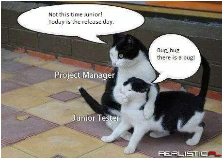 Junior