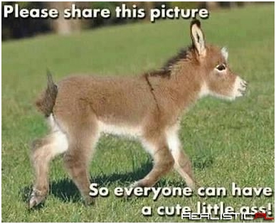 Just What Everyone Needs