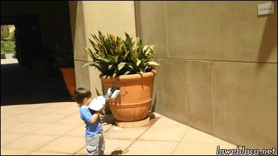 Kid Makes Some Portals