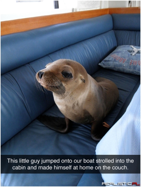 Little guy