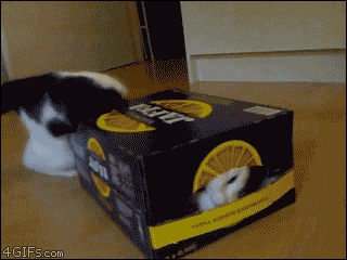 Love boxes