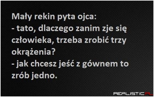 Mały rekin