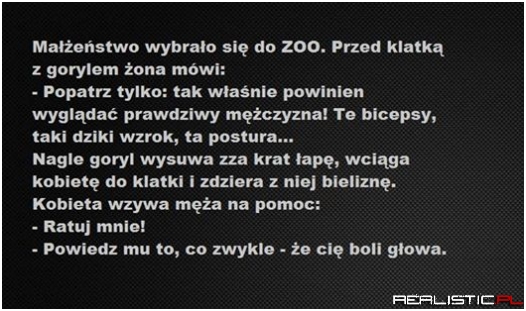 Małżeństwo w zoo