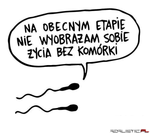 Na obecnym etapie