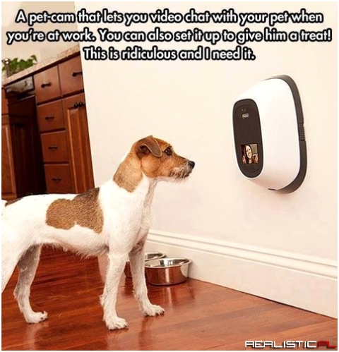 Need dis