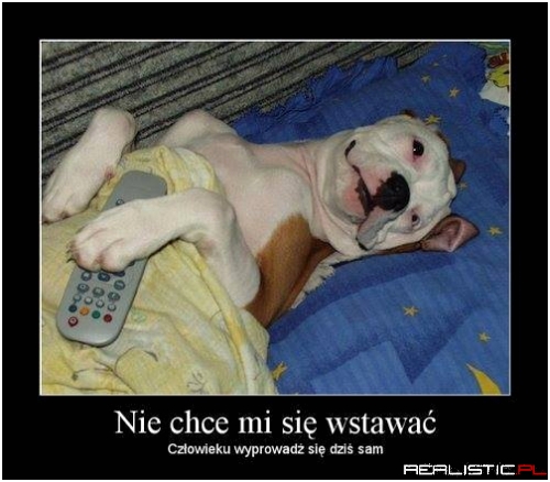 Nie chce mi się wstawać