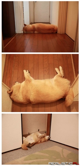 Nobody's Going Anywhere Until You Feed Me