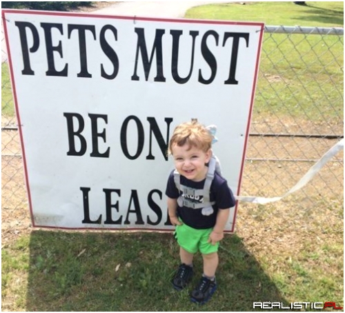 Oh, Just Pets, But He Seems to Like It!