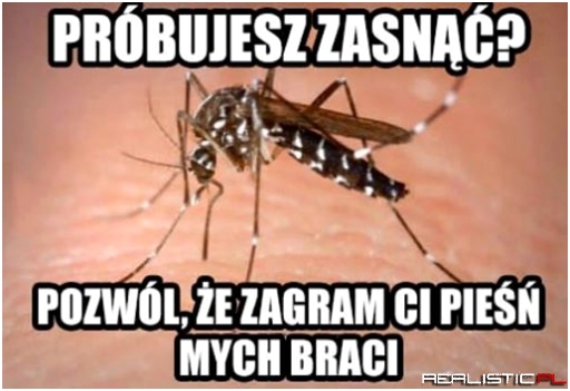 Pieśń mych braci