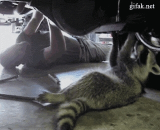 Pomocnik