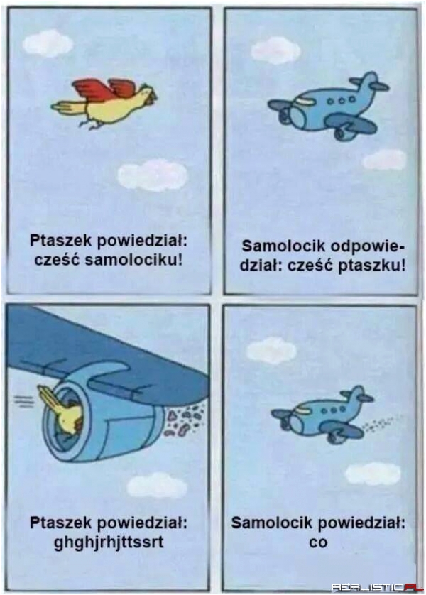Ptaszek i samolocik