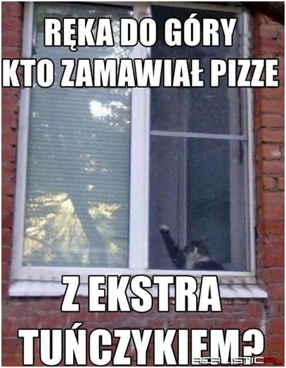 Ręka do góry