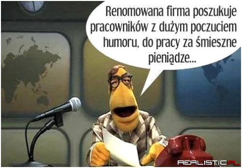 Renomowana firma poszukuje ....