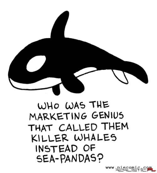 Rethinking the Brand of the Killer Whale