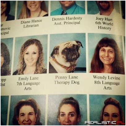 School Yearbook