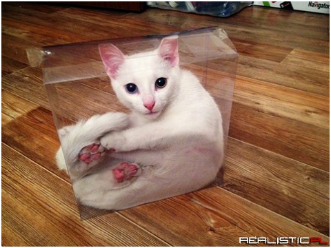 Schrodinger
