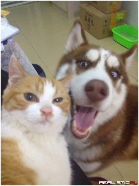 Selfie