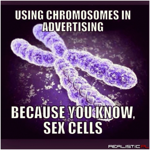 Sex cells