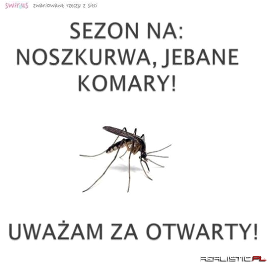 Sezon na komary
