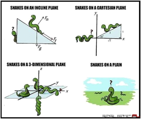 Snakes on a Plane