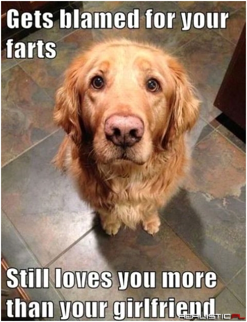 Still loves you