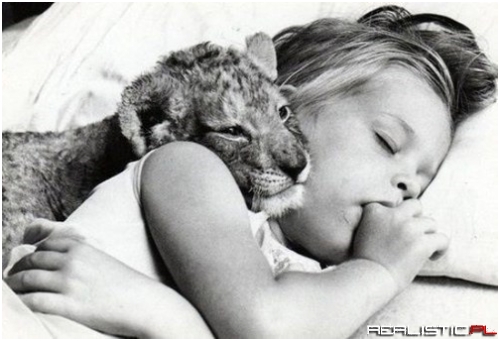 Sweet Dreams!