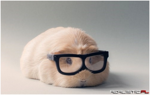 The Better to Squee you With!