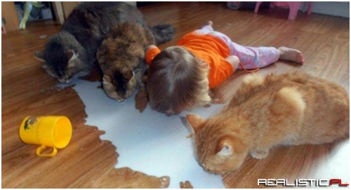 The Cleanup Crew Arrived