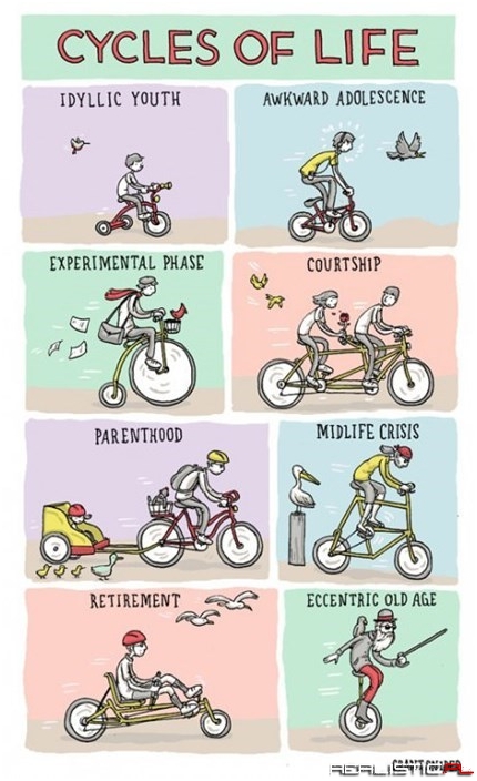 The Cycles of Life