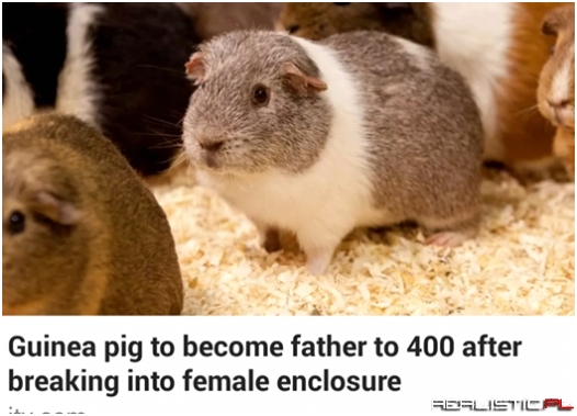 The face of no regrets