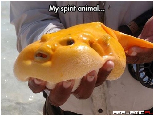 The Melted Butter Fish
