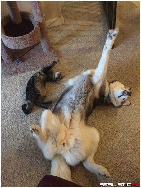 They Find Peace in Yoga