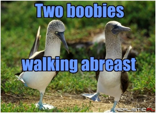 They Get That All the Time