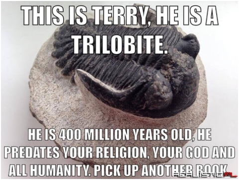 This is Terry