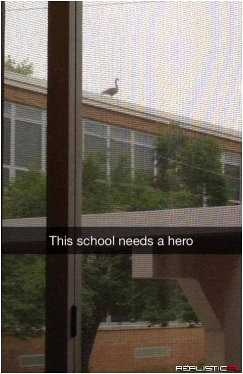 This school