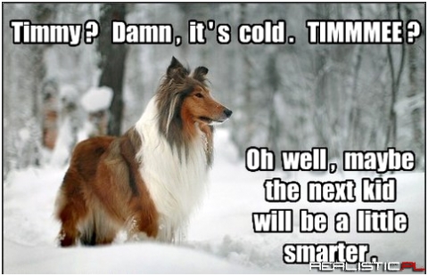 Timmy