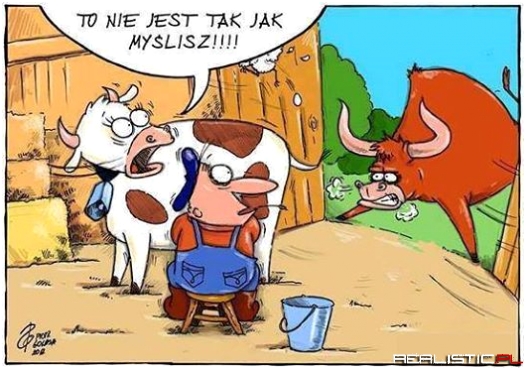 To nie jest tak jak myślisz