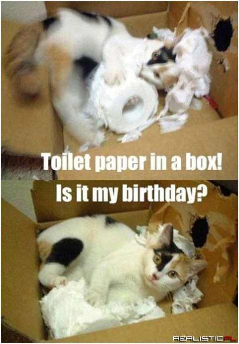 Toilet paper