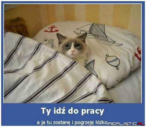 Ty idż do pracy...