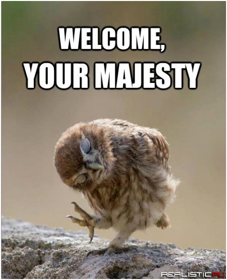 Welcome