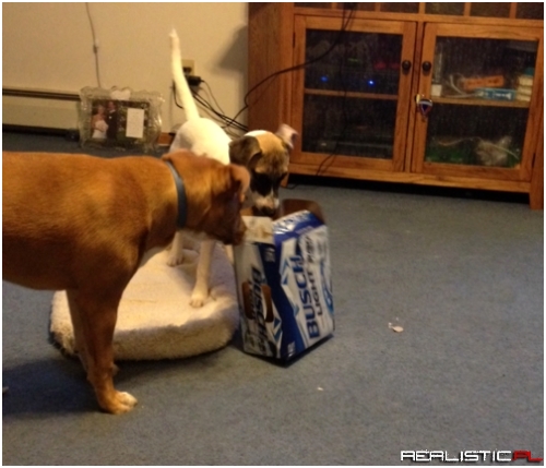 What Do You Mean You Drank All the Beer