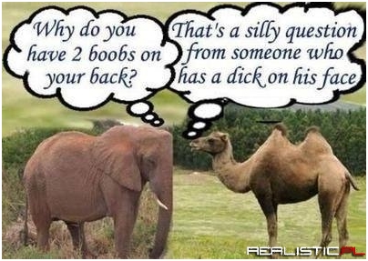 Why do you...