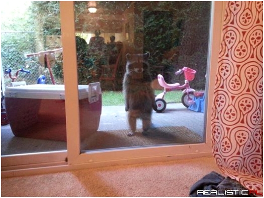 You forgot to pick me up from practice!
