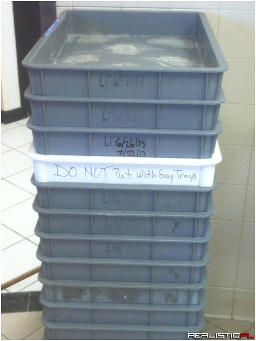 You Had One Job