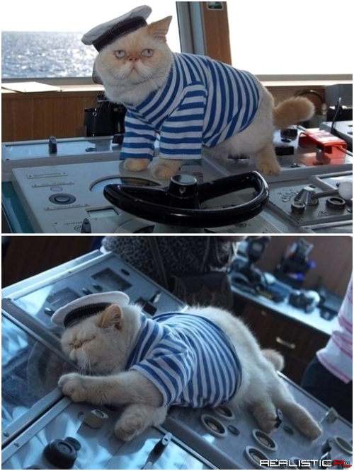 You Take the Helm, I'll Take a Nap