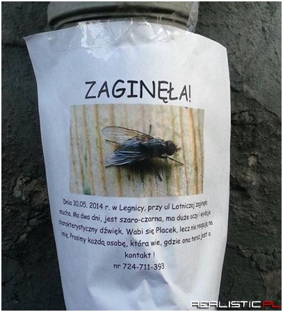 Zaginęła